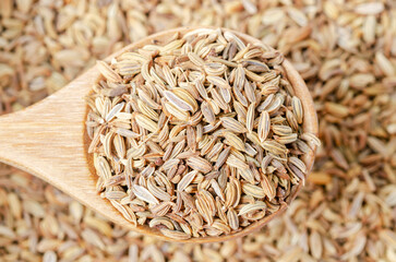 The Fennel seeds on spoon, close-up