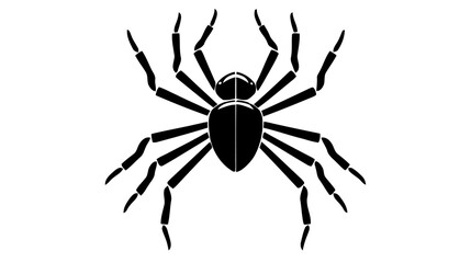 Spider black icon, logo. Vector illustration isolated on white background