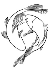  koi fish outline illustration on trensparent background.