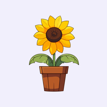 Vector cartoon icon illustration of sunflowers in a pot, with a flat style suitable for plants with beautiful colors and lovely, fragrant yellow flowers that are highly favored by many women