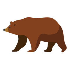 brown bear flat vector  illustration