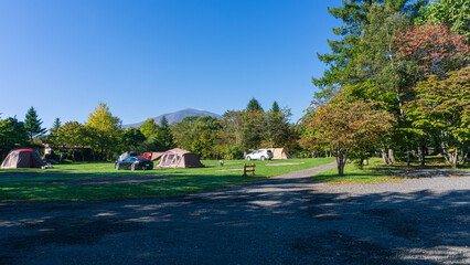 Campsite cottage in the woods