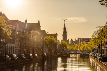Fototapeta premium Canal in Alkmaar at sunset, Netherlands