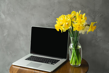 Inspired by Spring. Yellow Daffodils flowers in glass vase and Laptop on a table, Grey interior background.