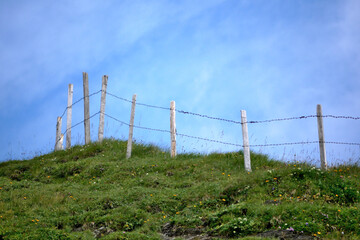 Fototapeta premium meadow fence on a mountain ridge