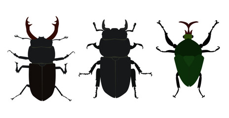 Insect silhouette, shield bug. Sketch of shield bug. Silhouette shield bug isolated on white background. Insect Animal Icon Flat Isolated Black Silhouette Bug. Vector illustration