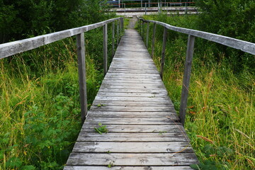 An old wooden suspension bridge over a swampy ditch with tall green grass. Road to nowhere. Abandoned place. Hiking in nature. Two long handrails for safety. Station Nyrki, Karelia. Cloudy evening.