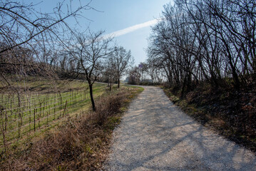 Fototapeta premium 2023 03 05 Lonigo country road 1