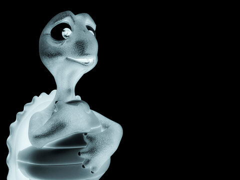 turtle cartoon is afraid with copy space