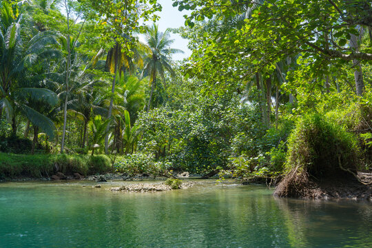 Cruising on the beautiful and calm river with trees at Kali Cokel, Pacitan, Indonesia.