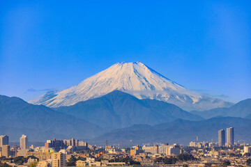 Fototapeta 東京から望む富士山とビル群　東京冬風景 obraz