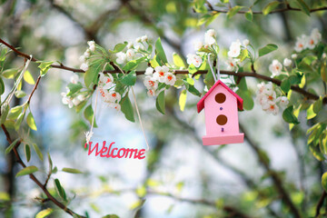 Fototapeta na wymiar banner welcome and bright bird house hanging on a flowering branch in spring a friendly sunny garden