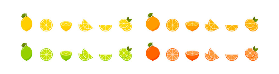 Citrus slices set. Lemon, lime, orange and grapefruit. Vector EPS 10