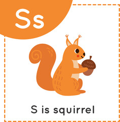 Learning English alphabet for kids. Letter S. Cute cartoon squirrel.