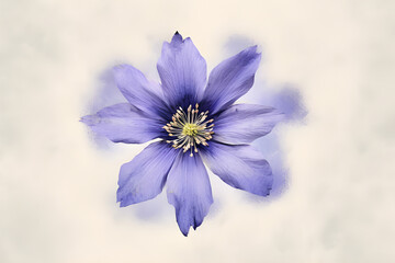 Closeup of  Anemone flower, Watercolor Floral Painting