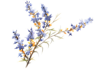 Blue Beauty in Watercolor, Painting Bell Heather Flower Branch