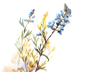 Fototapeta premium Blue Bell Heather branch in Watercolor. A Minimalist Floral Painting