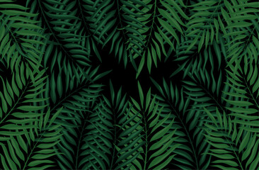 dark background with tropical leaves. background with green fern leaves
