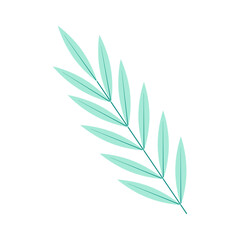 Green twig straight with long leaves, close-up, isolated, on a transparent and white background. Icon, element for design decoration. Vector illustration, image, graphic design.