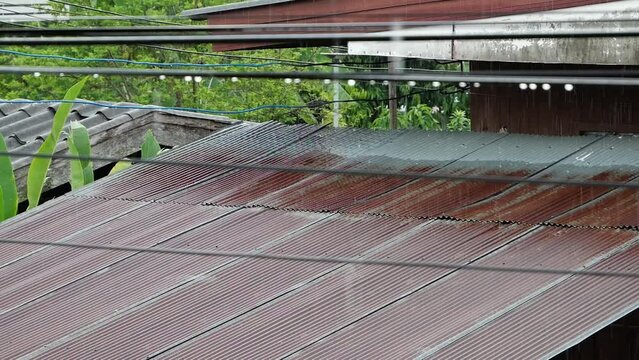 In the rainy season, it rains from the galvanized roof house. Macro Video Slow Motion.