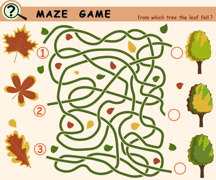 Logic game for children with autumn leaves maze. Vector illustration.