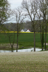 Obraz premium dom za wzgórzem #6