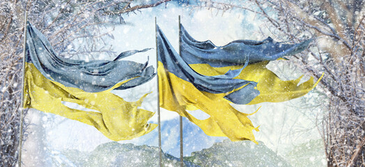 Ukraine, Flag of Ukraine, State of Ukraine - Wartime Flags