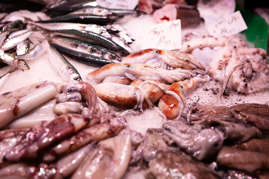 Variety Seafood Of Fish On The Fish Market