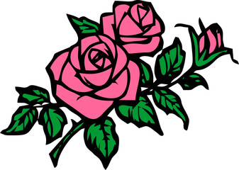 graphic drawing of pink roses with leaves without background, isolated element