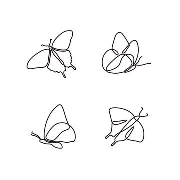 butterfly drawing line art set
