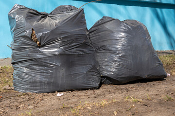 Two black plastic bags filled with garbage on the background of the blue wall of the house, street cleaning.