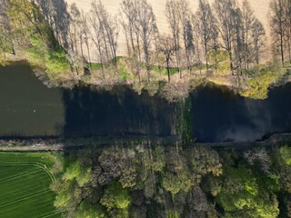 staw przy polu i lesie  5 © Artur