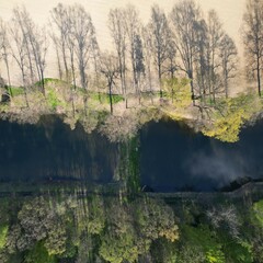 staw przy polu i lesie  6 © Artur