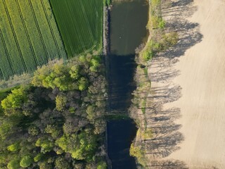 staw przy polu i lesie  23 © Artur