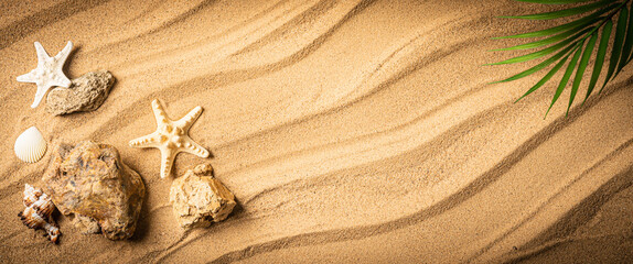starfishes and sea shells on sand