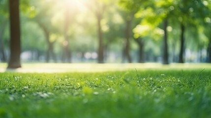 Fototapeta premium A green grass field with trees in the background