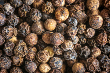 Dry black pepper background closeup