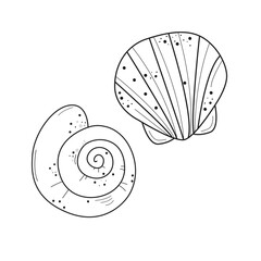 Sea shells line art. Different seashells on pink background color. Vector illustration Sketch style 