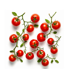 Vine tomatoes, white background
