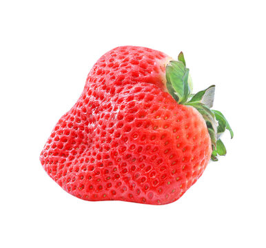 Red strawbery fruit on transparent background (PNG File)