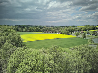 widok na pole rzepaku © Artur