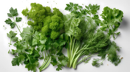 Fototapeta premium Isolated fresh greens of parsley, dill, onion, lying on a white glossy surface. Generative AI technology.