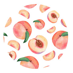 Watercolor peach composition isolated on white . Hand drawn fruit illustration