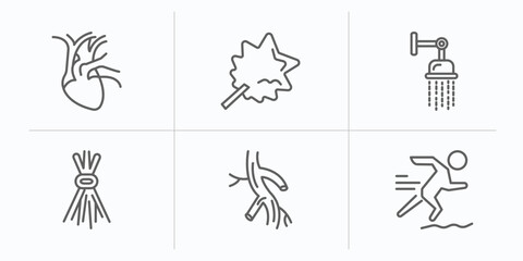 sauna outline icons set. thin line icons such as cardiovascular system, vasta, luxury shower, birching, arterioles, adrenalin rush vector. © IconArt