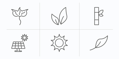 Fototapeta na wymiar nature outline icons set. thin line icons such as cuspicate, tree leave, bamboo sticks, solar, sol, orange leaf vector.