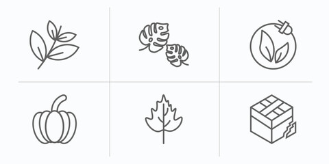 nature outline icons set. thin line icons such as black willow, leaf monstera, natural energy, farming, hawthorn leaf, damaged vector.