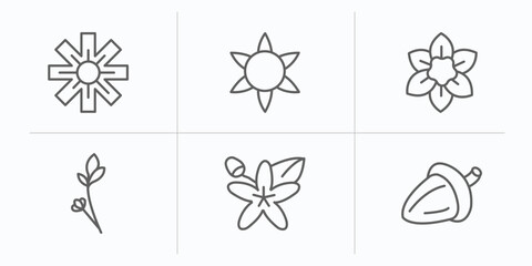 Fototapeta na wymiar nature outline icons set. thin line icons such as wedelia, gerbera, narcissus, lavender, neroli, oak vector.