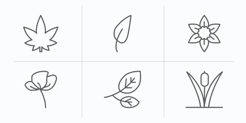 Fototapeta na wymiar nature outline icons set. thin line icons such as hemp, acicular, daffodil, peony, branch, reed vector.