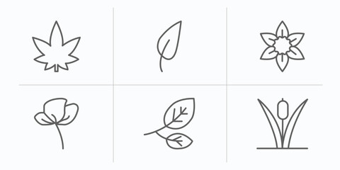 nature outline icons set. thin line icons such as hemp, acicular, daffodil, peony, branch, reed vector.