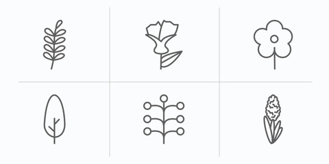 nature outline icons set. thin line icons such as pinnate, larch, daisy, cypress, mimosa, hyacinth vector.